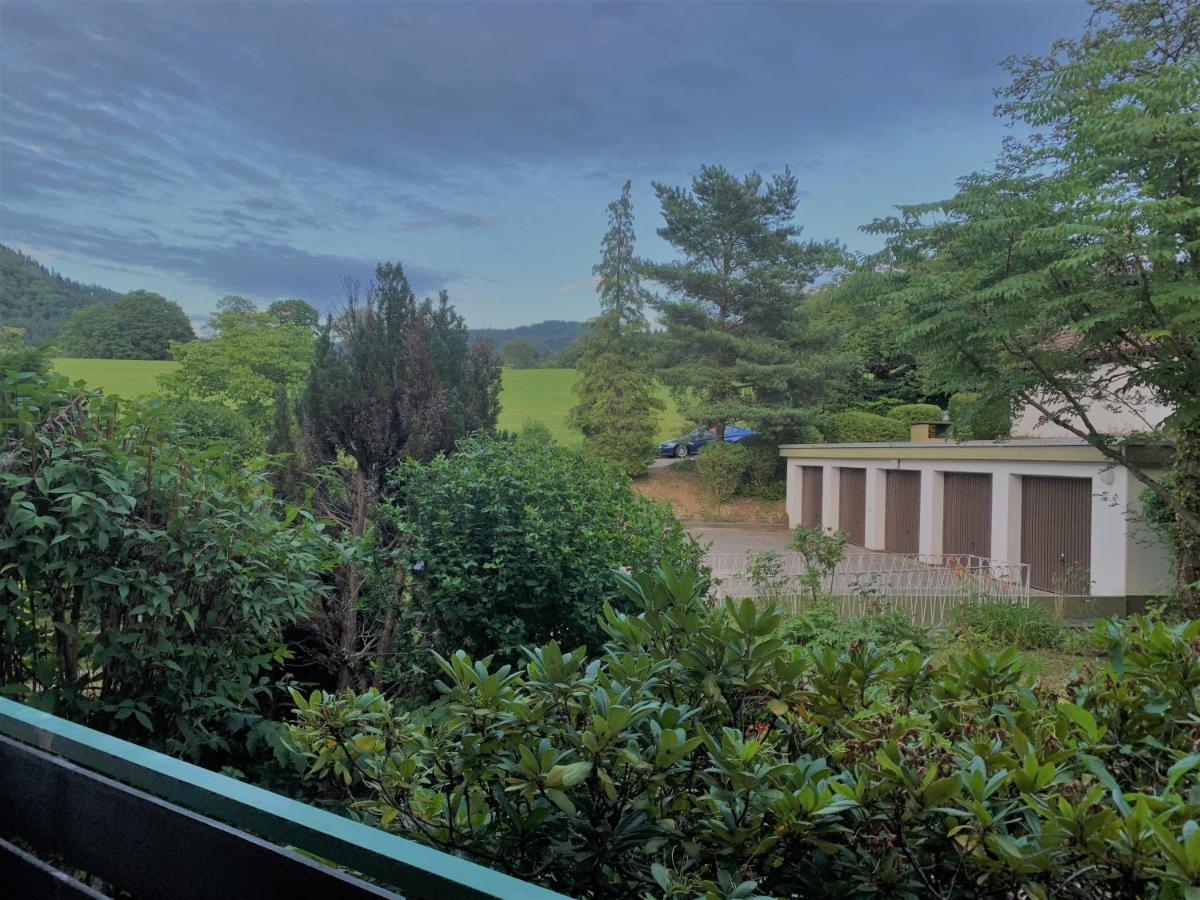 Villa Josephine Badenweiler Luaran gambar